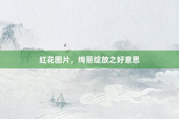 红花图片，绚丽绽放之好意思