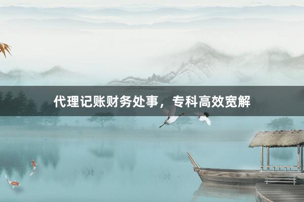 代理记账财务处事，专科高效宽解