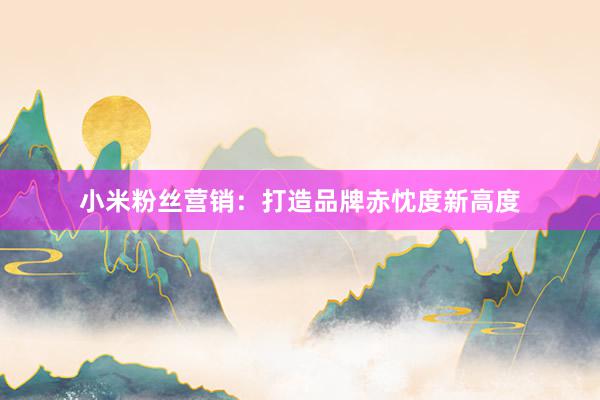 小米粉丝营销：打造品牌赤忱度新高度